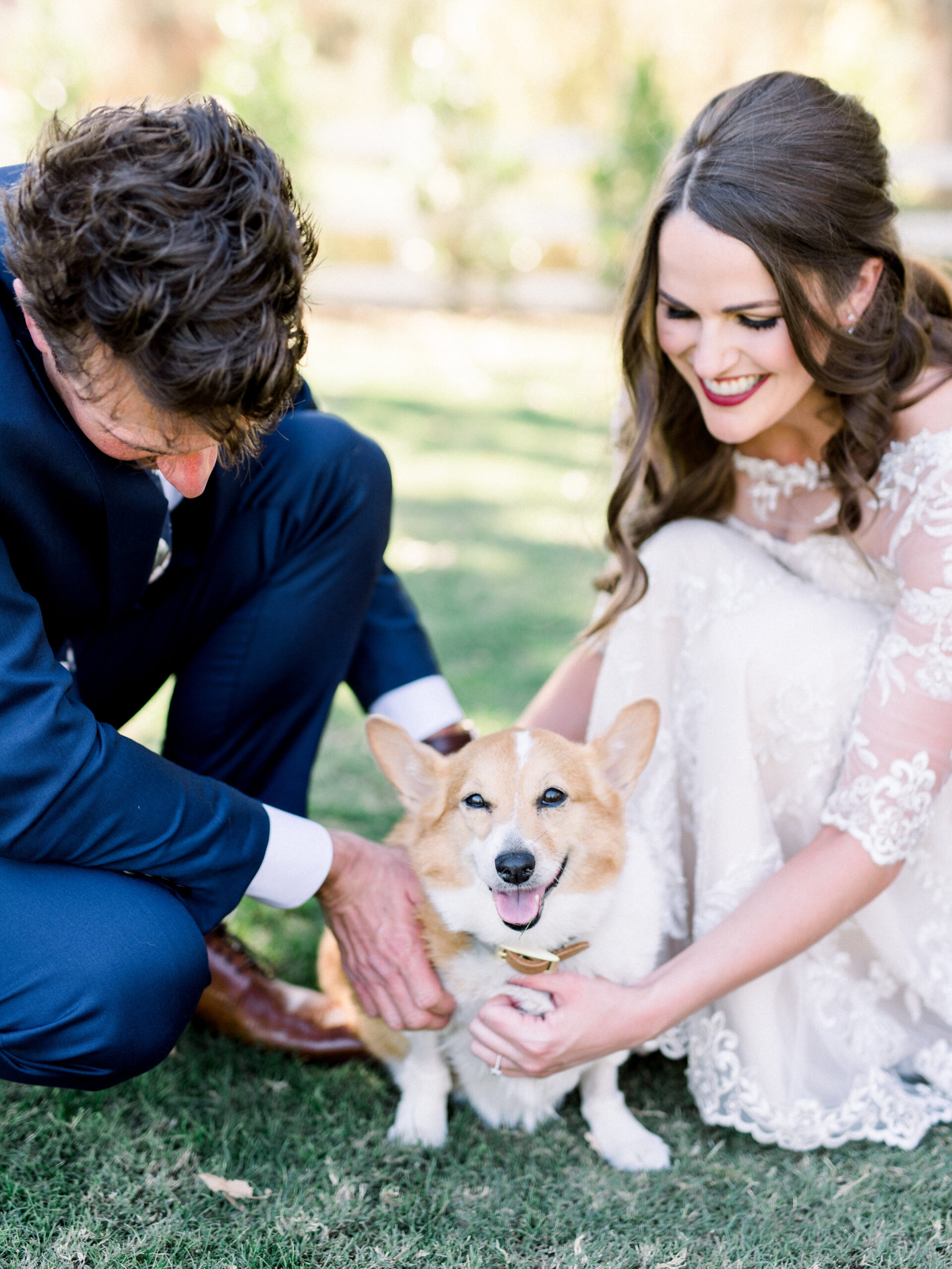 corgi wedding.JPG